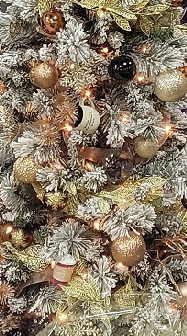 2023 Festival of Trees